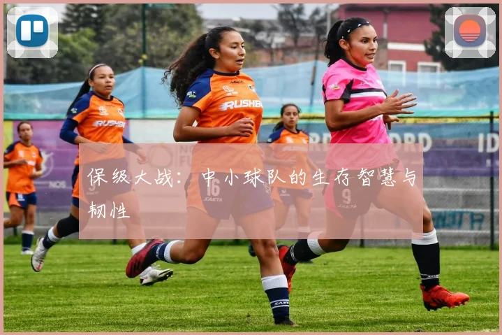 保级大战:中小球队的生存智慧与韧性