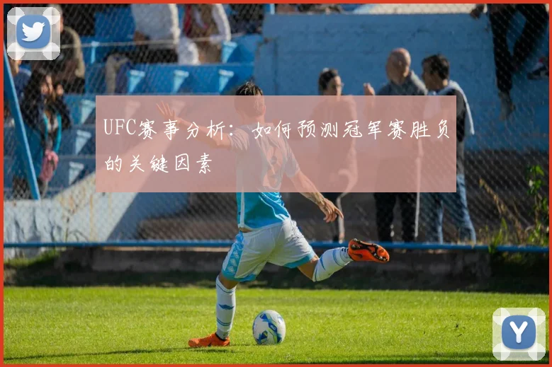 UFC赛事分析：如何预测冠军赛胜负的关键因素