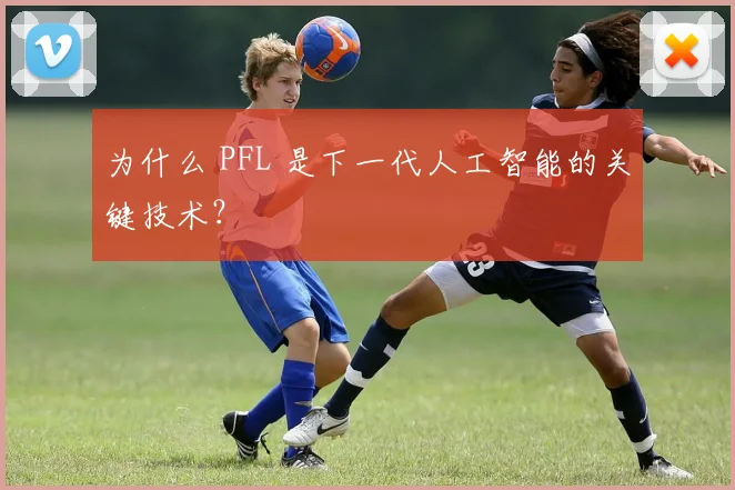 为什么 PFL 是下一代人工智能的关键技术？