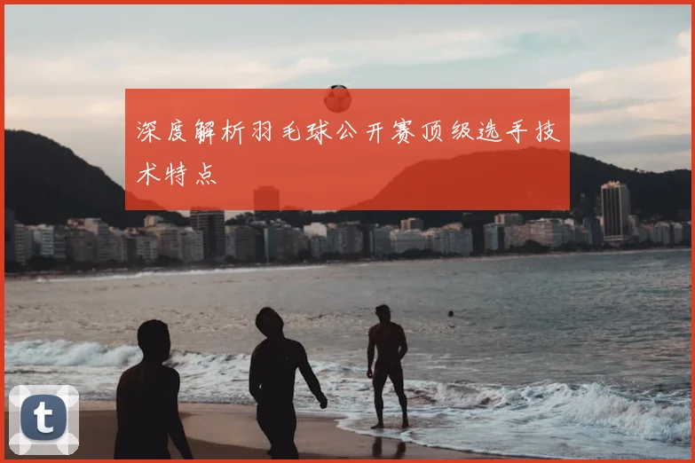 深度解析羽毛球公开赛顶级选手技术特点