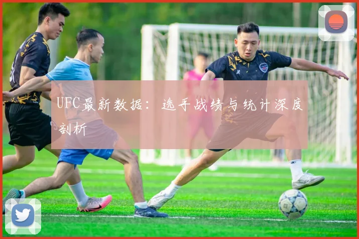 UFC最新数据：选手战绩与统计深度剖析