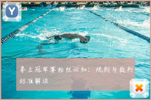 拳击冠军赛粉丝必知:规则与裁判标准解读
