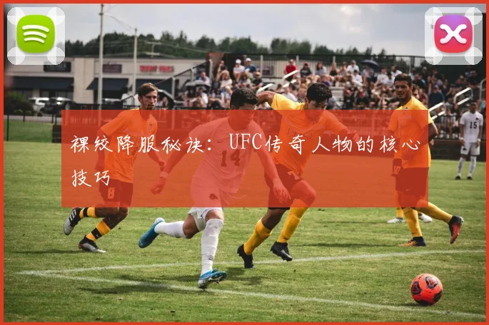 裸绞降服秘诀：UFC传奇人物的核心技巧
