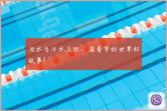 泪水与汗水交织，温哥华的世界杯故事！