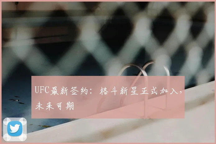 UFC最新签约:格斗新星正式加入,未来可期
