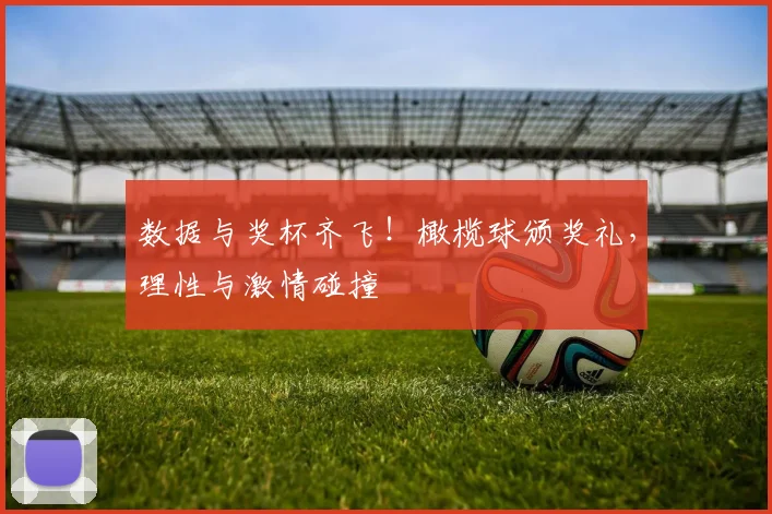 数据与奖杯齐飞!橄榄球颁奖礼,理性与激情碰撞