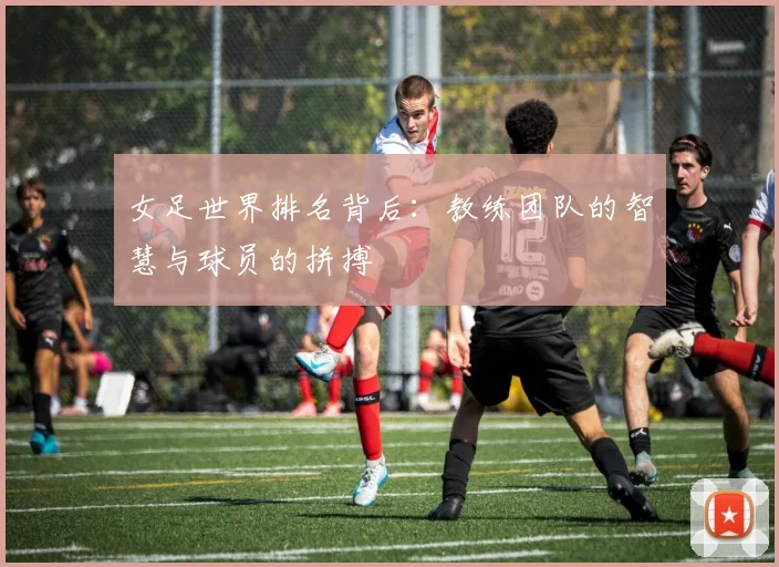 女足世界排名背后:教练团队的智慧与球员的拼搏